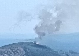 Imagen del fuego que afecta al parque nacional.