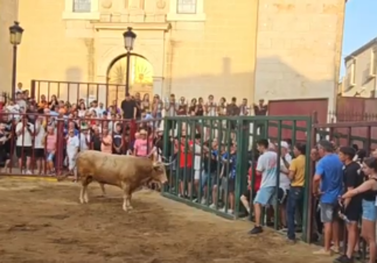 Un vecino de Torrejoncillo sufre una cornada de diez centímetros en los festejos taurinos de la localidad