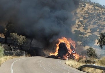 La UME se moviliza a la Campiña Sur por un incendio «descontrolado» que obliga a confinar Villagarcía de la Torre