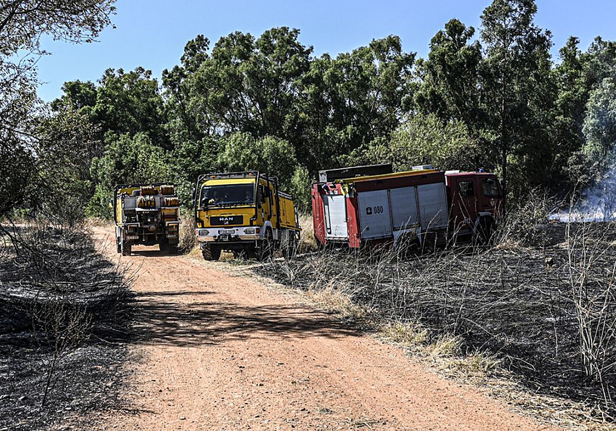 Medios del Infoez en los incendios de Badajoz.