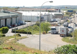 Panorámica del polígono industrial El Prado de Mérida.