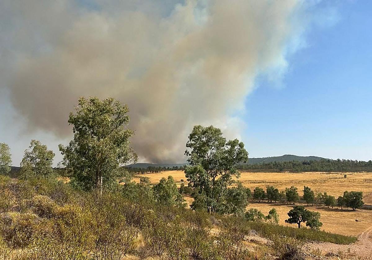 Incendio forestal en Alburquerque