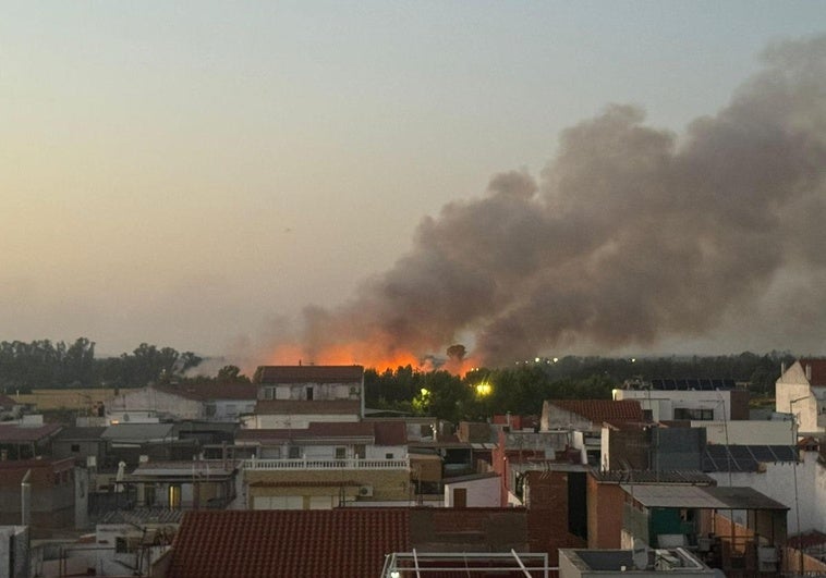 Badajoz sufre nuevos incendios intencionados en la carretera de Cáceres y Las Crispitas