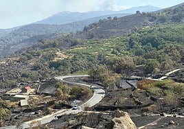 Terreno quemado a ambos lados de la carretera que comunica Villar de Plasencia con Cabezabellosa.