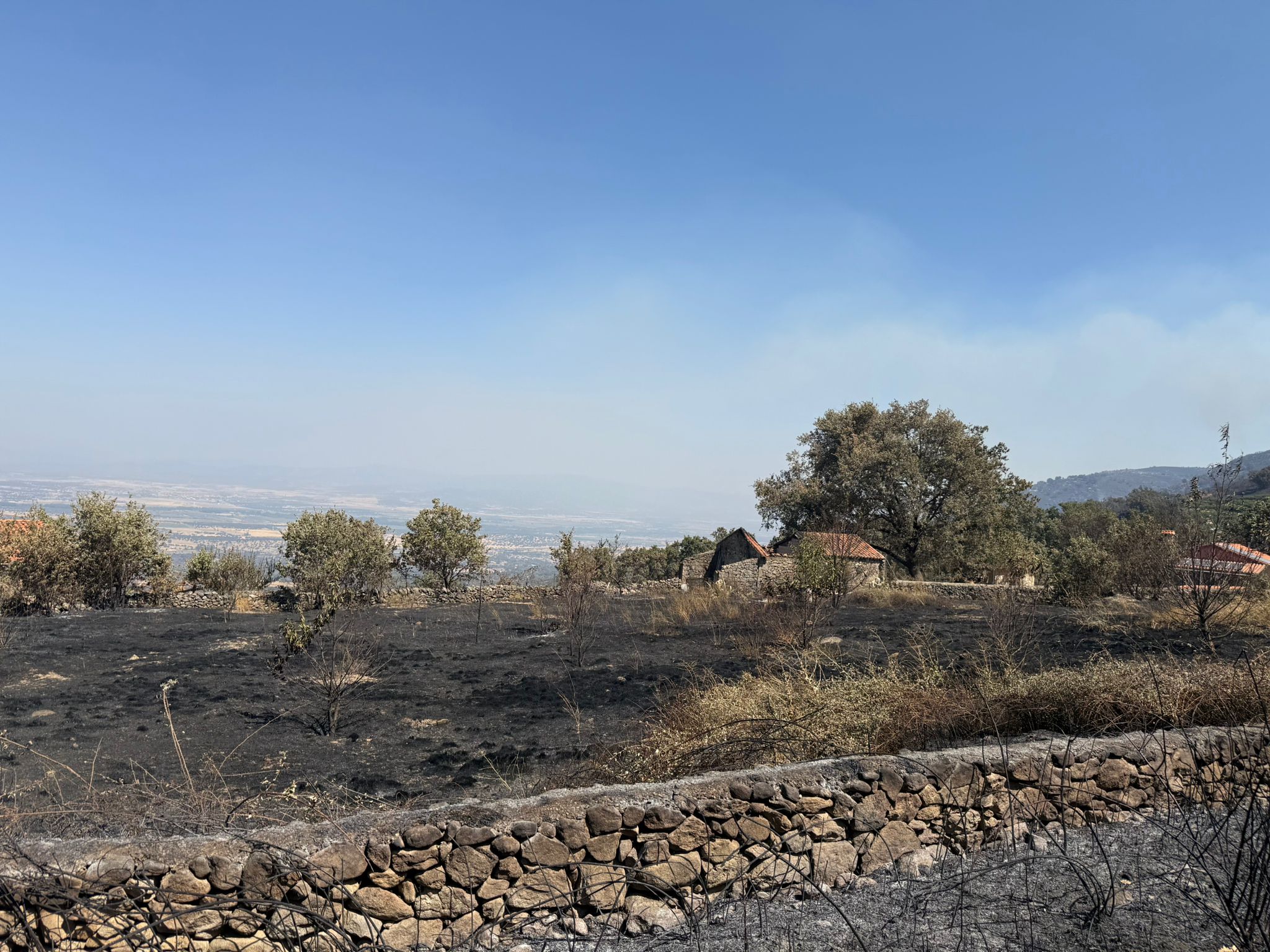 Así ha quedado la comarca de Trasierra tras el incendio de Jarilla