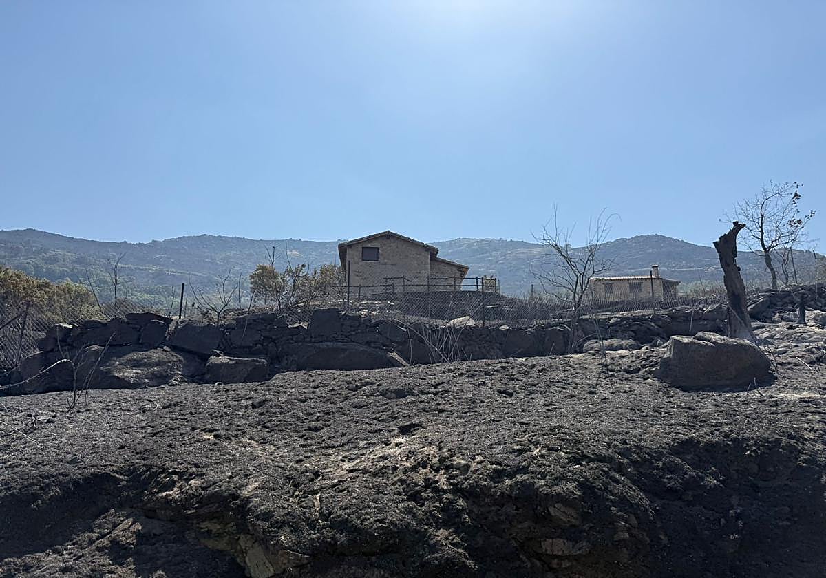 Así ha quedado la comarca de Trasierra tras el incendio de Jarilla