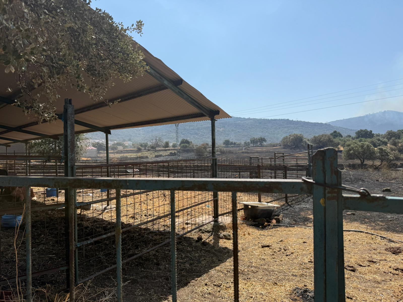 Así ha quedado la comarca de Trasierra tras el incendio de Jarilla