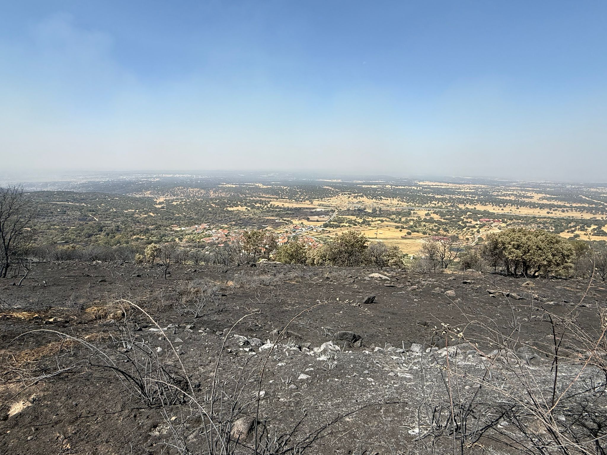 Así ha quedado la comarca de Trasierra tras el incendio de Jarilla