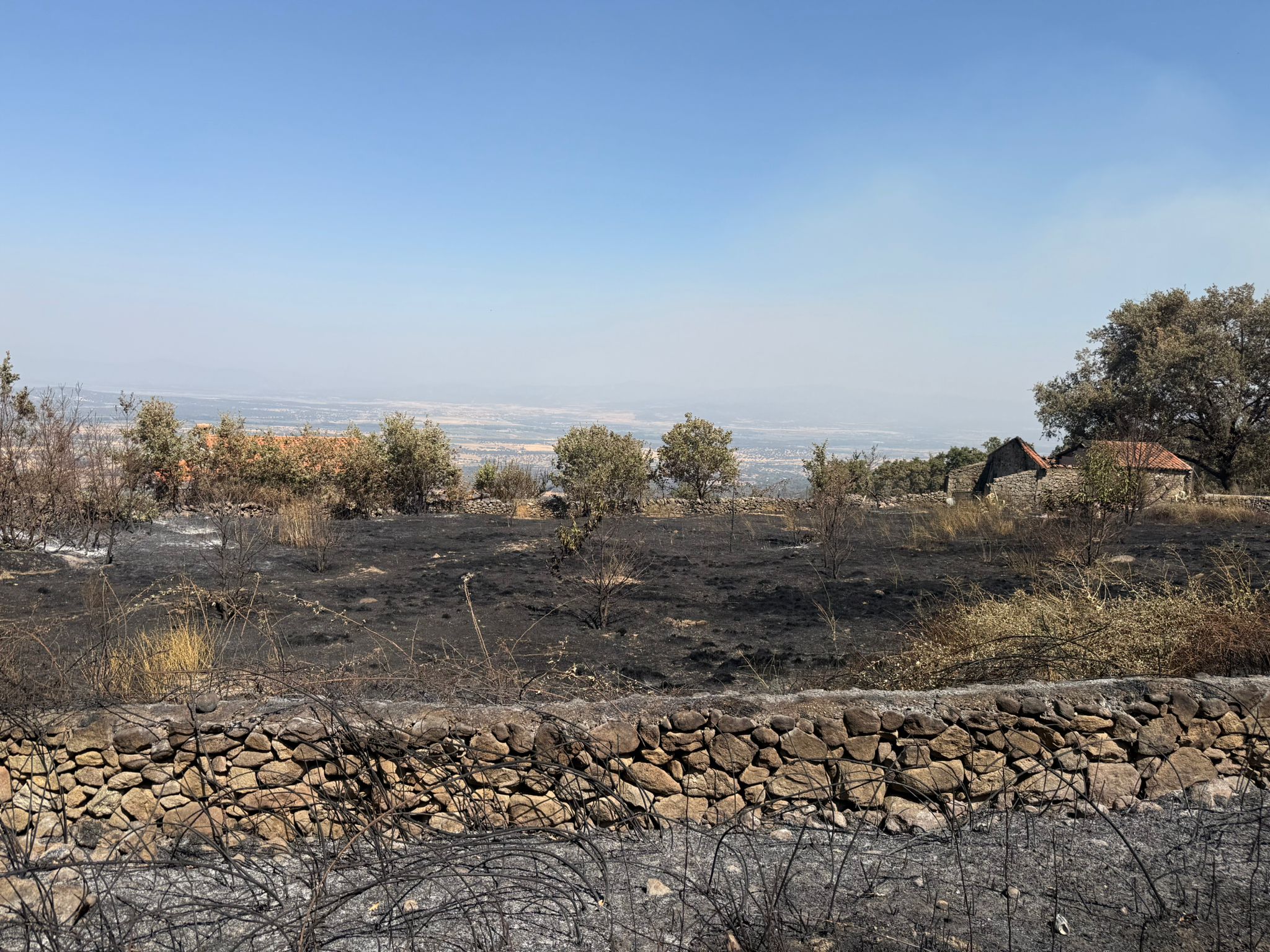 Así ha quedado la comarca de Trasierra tras el incendio de Jarilla