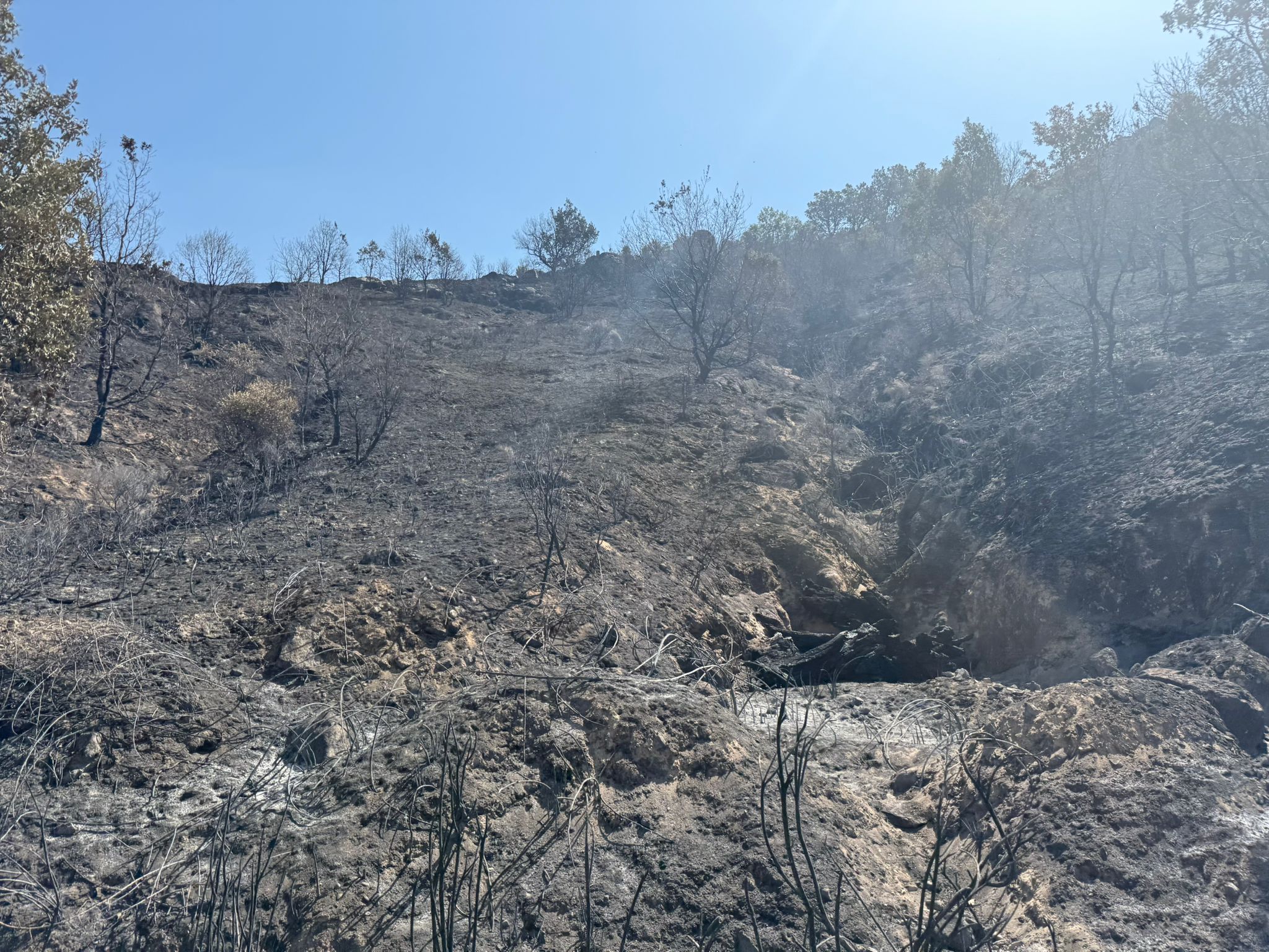 Así ha quedado la comarca de Trasierra tras el incendio de Jarilla