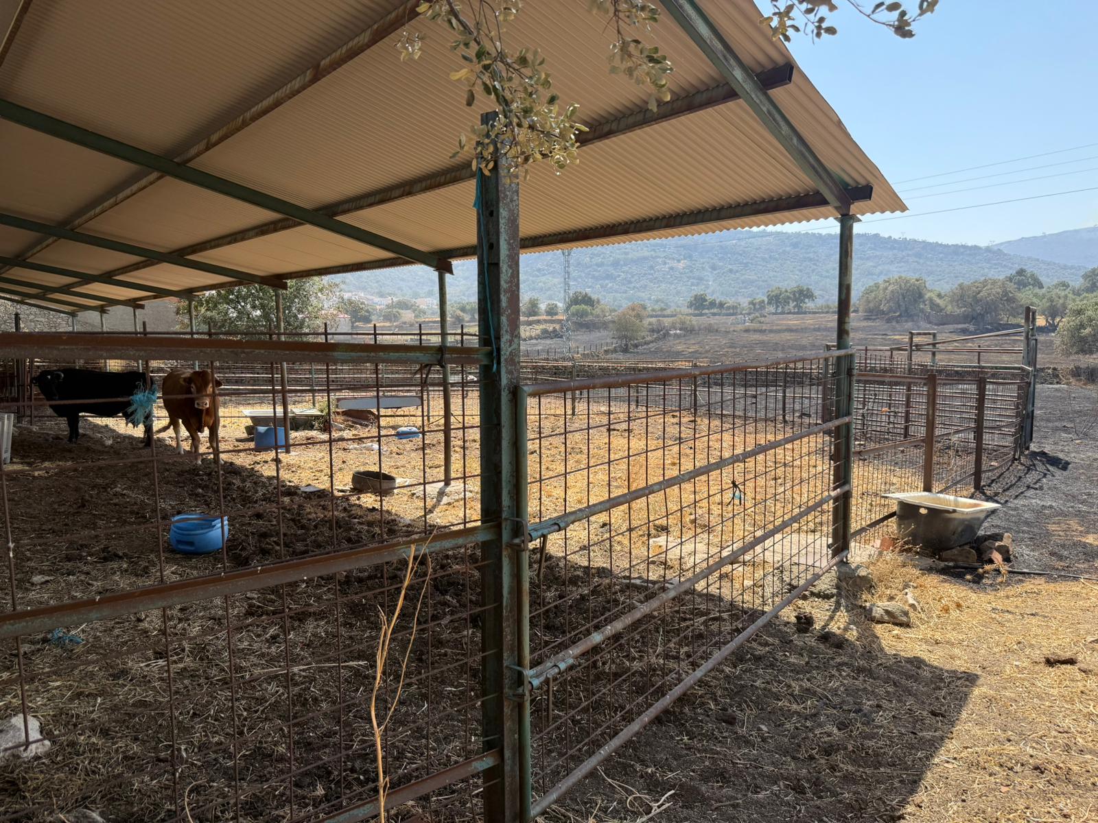 Así ha quedado la comarca de Trasierra tras el incendio de Jarilla