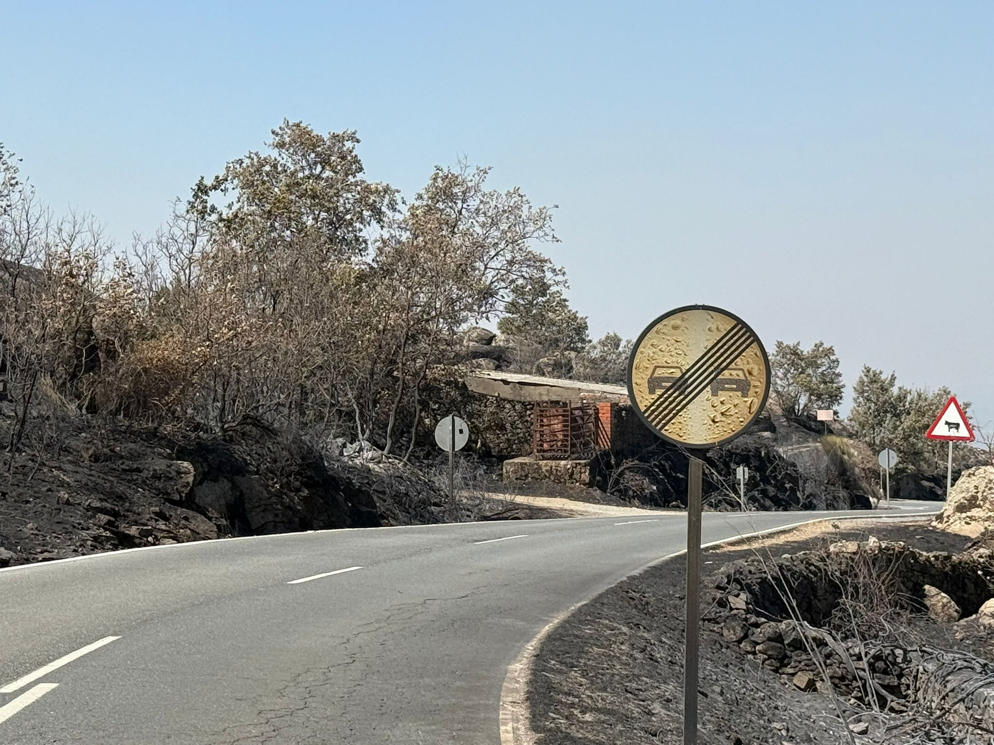 Así ha quedado la comarca de Trasierra tras el incendio de Jarilla