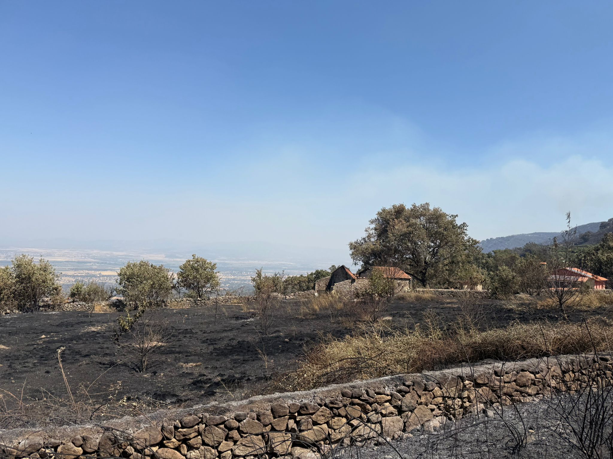 Así ha quedado la comarca de Trasierra tras el incendio de Jarilla