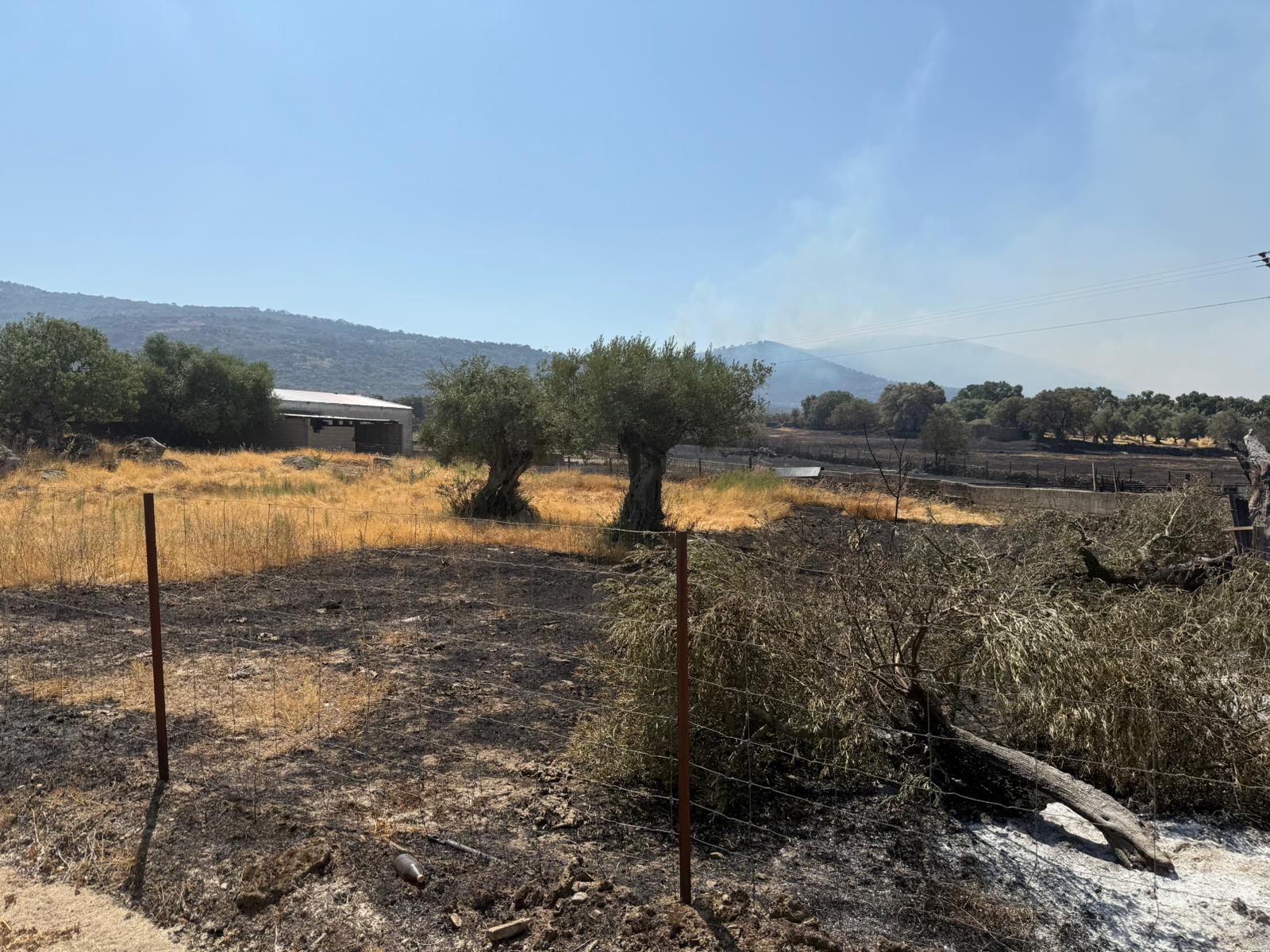 Así ha quedado la comarca de Trasierra tras el incendio de Jarilla