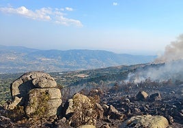 Superficie quemada cerca de Jarilla, en el norte de Extremadura.