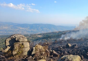 La superficie quemada alcanza las 12.000 hectáreas en Trasierra, Campiña Sur y Sierra de San Pedro