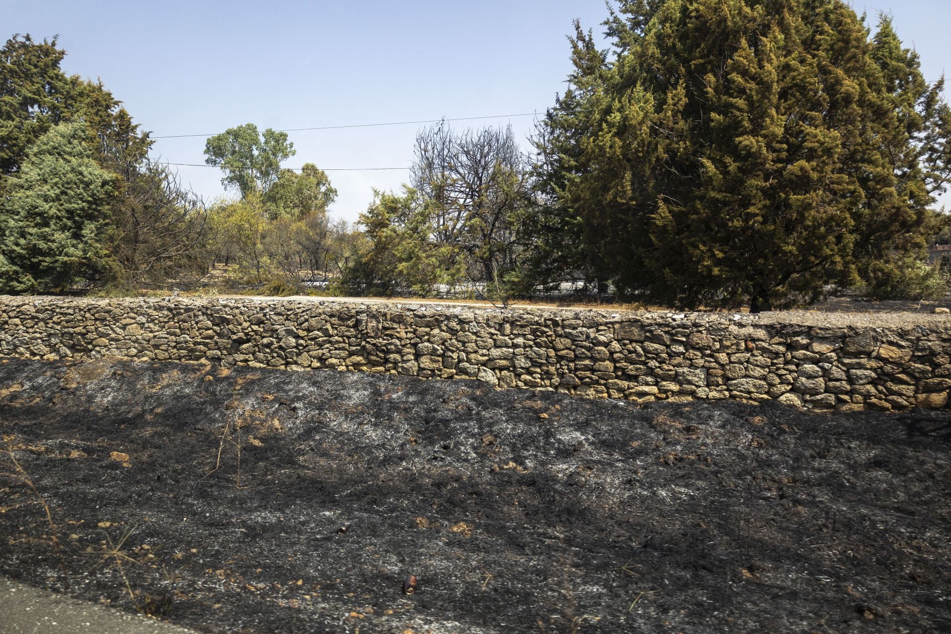 Terrenos arrasados por el incendio de Casar de Cáceres