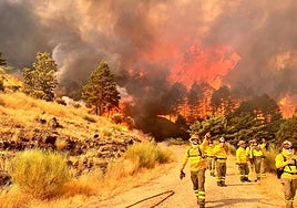 Bomberos del Infoex en la pista Heidi por encima de Hervás, con el fuego a sus espaldas tras el avance desde el puerto de Honduras.