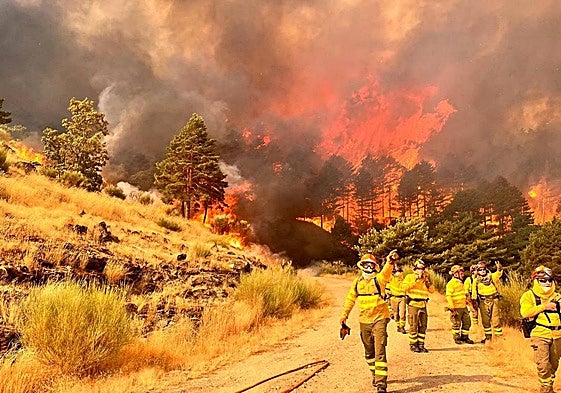 Bomberos del Infoex en la pista Heidi por encima de Hervás, con el fuego a sus espaldas tras el avance desde el puerto de Honduras.