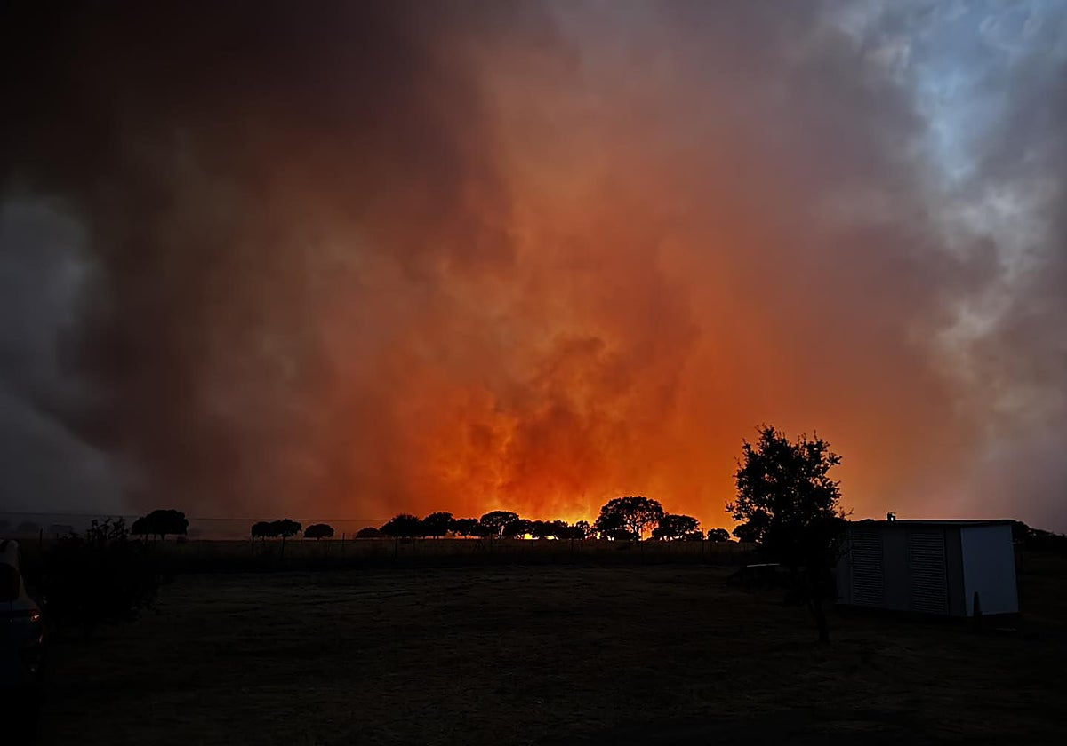 Imagen del incendio de Aliseda tomada anoche por la Asociación Cacereña para la Protección de los Animales.