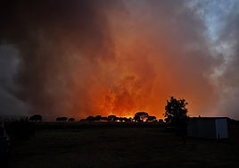 Imagen del incendio de Aliseda tomada anoche por la Asociación Cacereña para la Protección de los Animales.