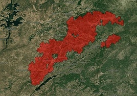 Más de 15.000 hectáreas ha arrasado ya el fuego iniciado hace una semana en Jarilla (Cáceres).