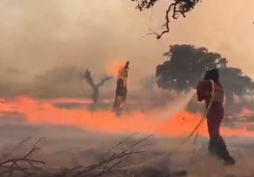 Militares de la UME combaten el fuego en Aliseda, que anoche se desplazó hacia la N-523
