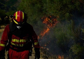 Efectivos de la UME trabajan en el incendio de Jarilla (Cáceres).