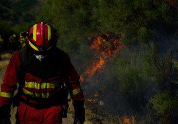 Qué implica la declaración de zona catastrófica en las áreas afectadas por los incendios en Extremadura