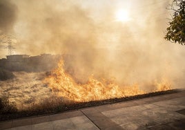 Arde el pasto junto al Puente Real en la tarde del lunes 18 de agosto.