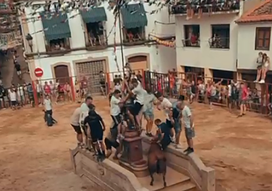 Un corneado obliga a suspender la capea en Valverde del Fresno hasta el regreso de la ambulancia