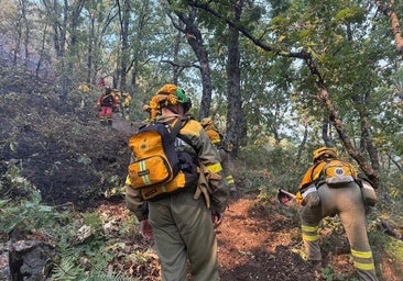 Varios bomberos casi quedan atrapados en Jerte al actuar unos vecinos por su cuenta