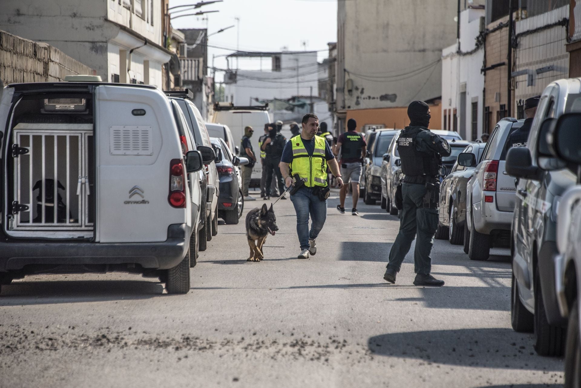 Fotos | Así ha sido la redada de las Moreras