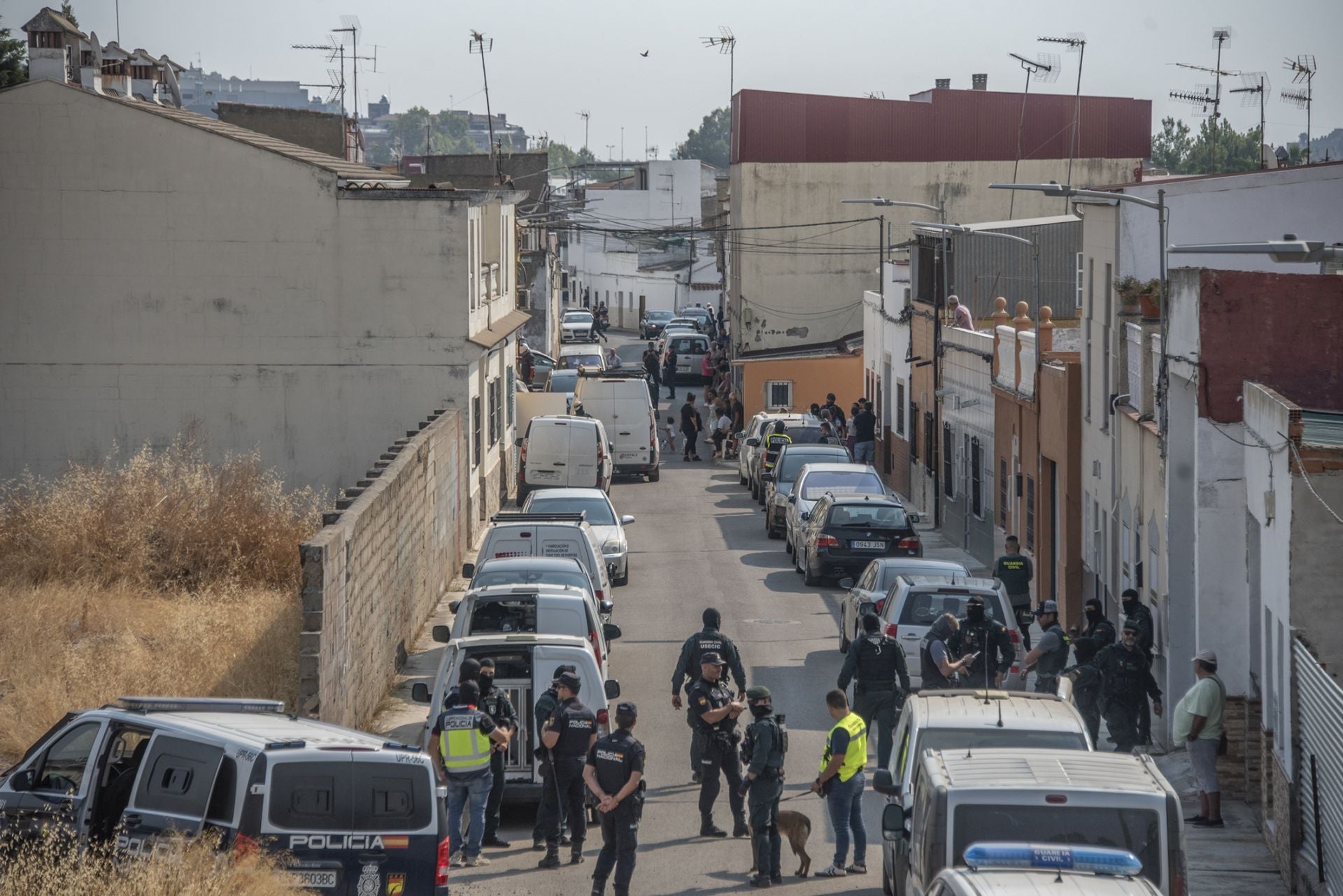 Fotos | Así ha sido la redada de las Moreras