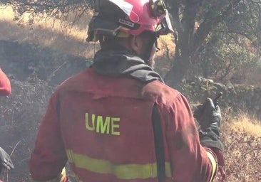 El PSOE extremeño pide un pleno monográfico sobre la gestión de la extinción de los incendios