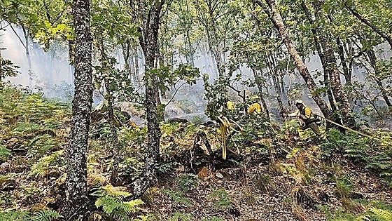 Buena evolución del incendio de Jarilla, que podría quedar estabilizado este jueves