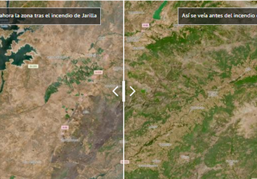 El antes y el después en la zona afectada por el incendio de Jarilla visto desde el espacio
