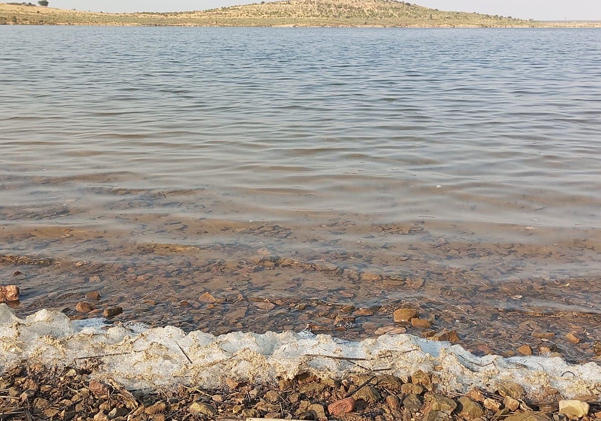 Orilla del embalse de Alange, sobre el río Matachel, el pasado jueves. Se encuentra casi al 33% de su capacidad, con 279 hectómetros cúbicos.