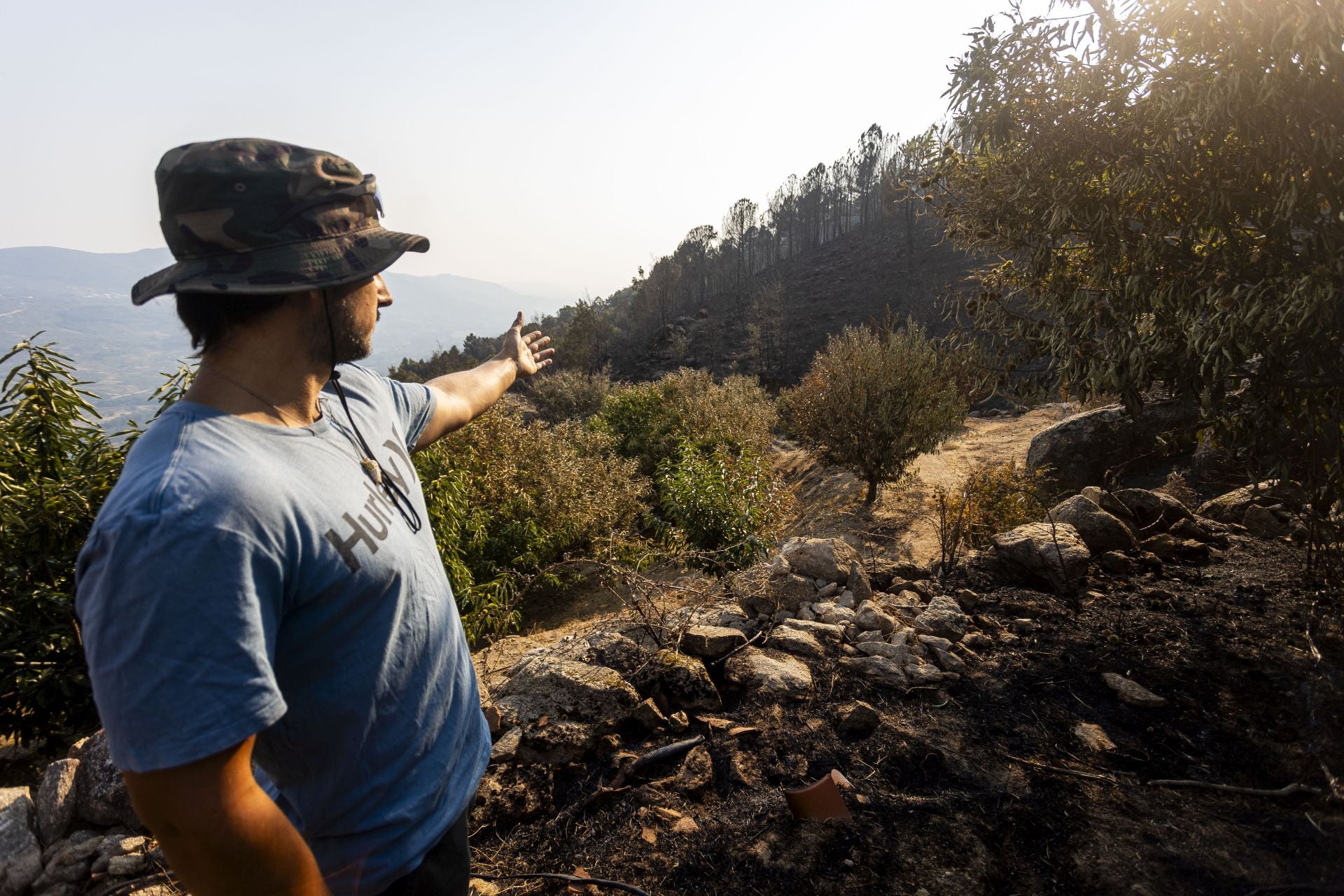 Fotos | Así han quedado los cerezos calcinados por el incendio de Jarilla
