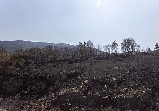 Paisaje del Jerte el viernes pasado tras el incendio que ha durado once días.