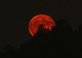 Cuenta atrás para el eclipse lunar total: cuándo y cómo ver la 'Luna de Sangre' en España