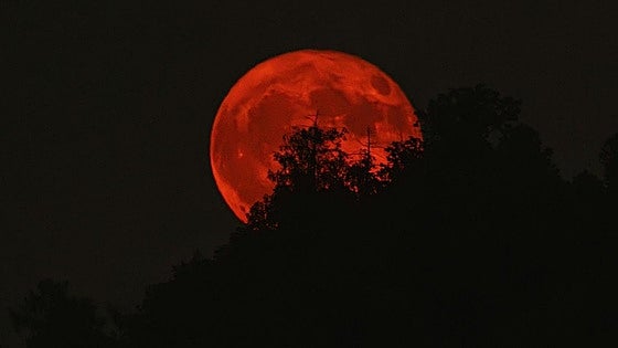 La 'Luna de Sangre' llega este domingo: dónde ver el eclipse lunar total en España