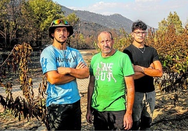 Los daños a los cerezos por el fuego: «En horas hemos perdido el trabajo de una vida»