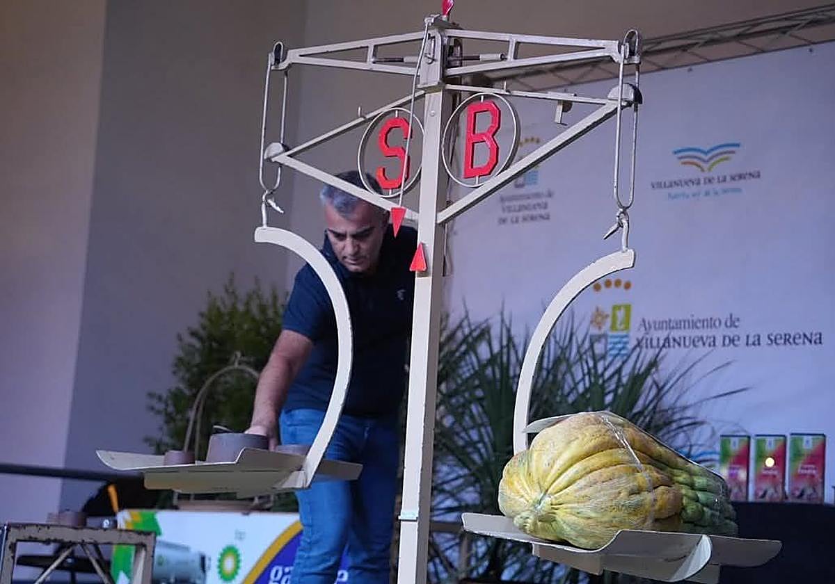 Una sandía de 65 kilos y un melón de 24, en el concurso de Villanueva de la Serena