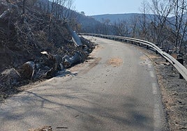 Estado que presenta la carretera del Puerto de Honduras tras el devastador incendio de Jarilla.