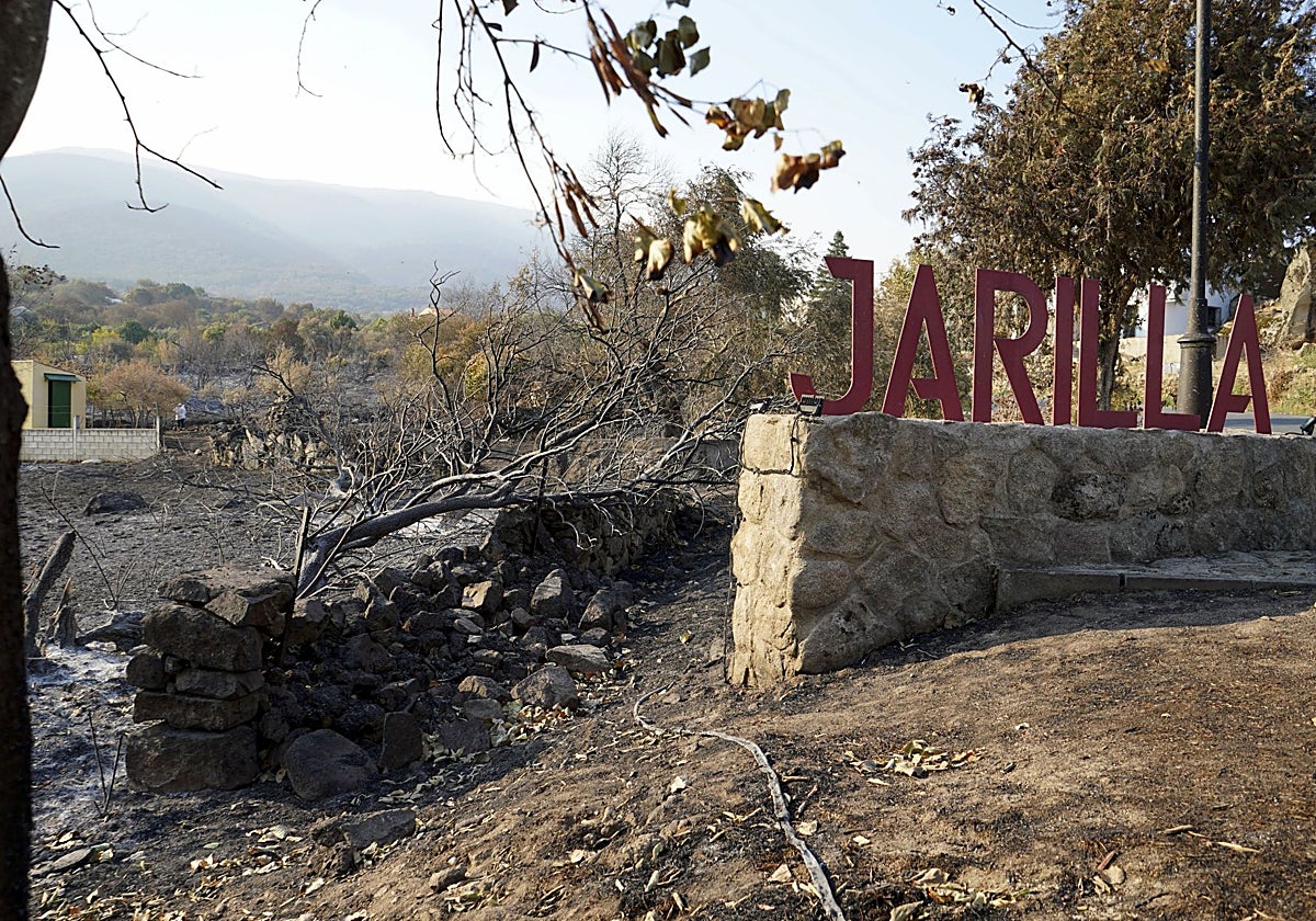 Área quemada en el municipio de Jarilla, donde comenzó el fuego que calcinó 17.300 hectáreas.