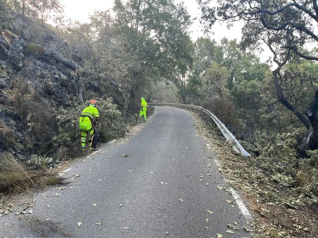 Fotos | Así se han llevando a cabo los trabajos en el Puerto de Honduras para reabrir la carretera tras el incendio