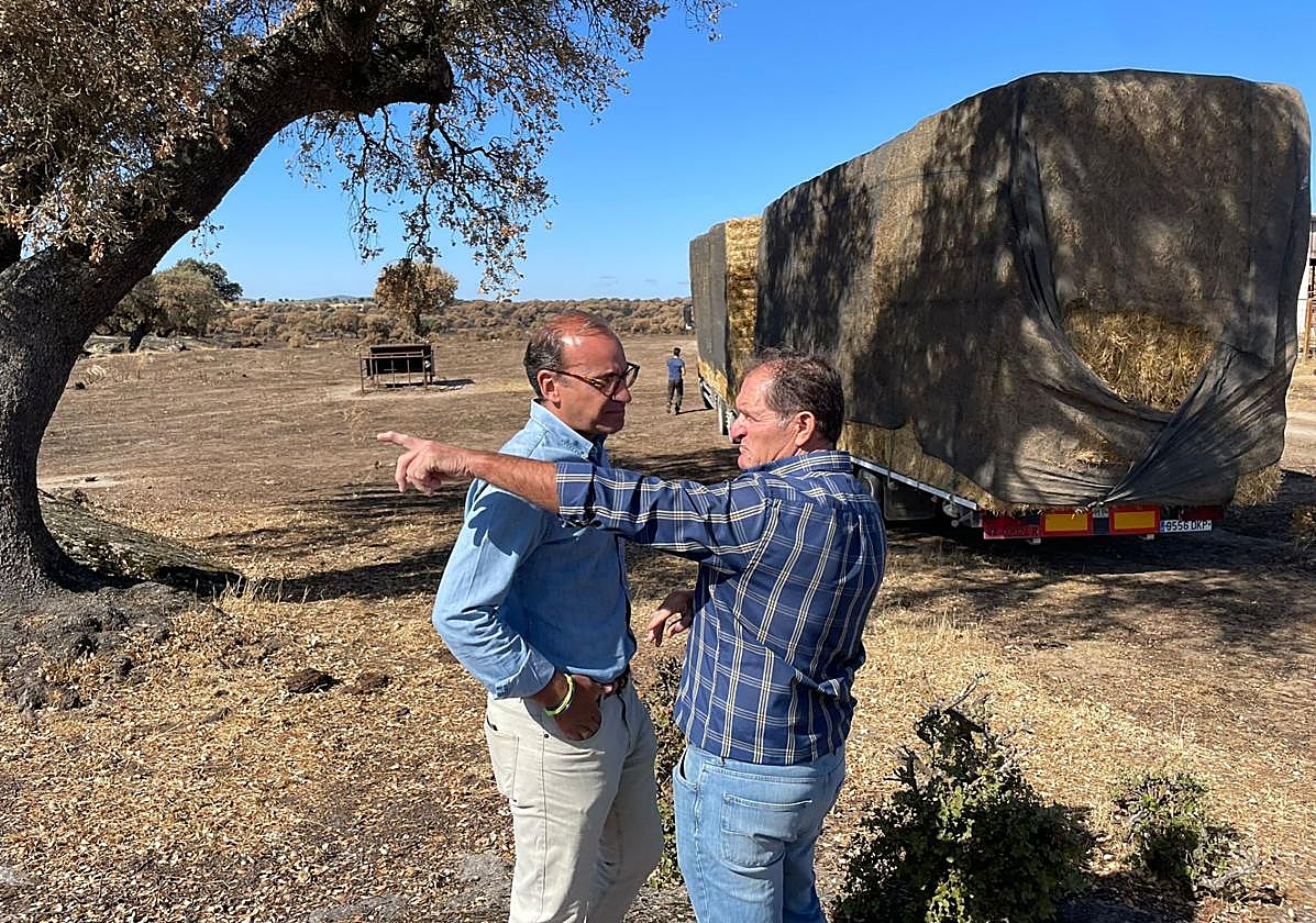 El alcalde de Cáceres, Rafael Mateos, escucha las explicaciones de un ganadero de Valdesalor.