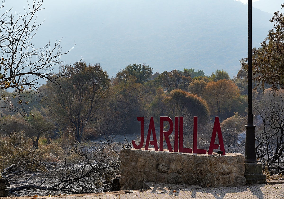 La Junta aprueba hoy ayudas por los daños de los incendios en Extremadura