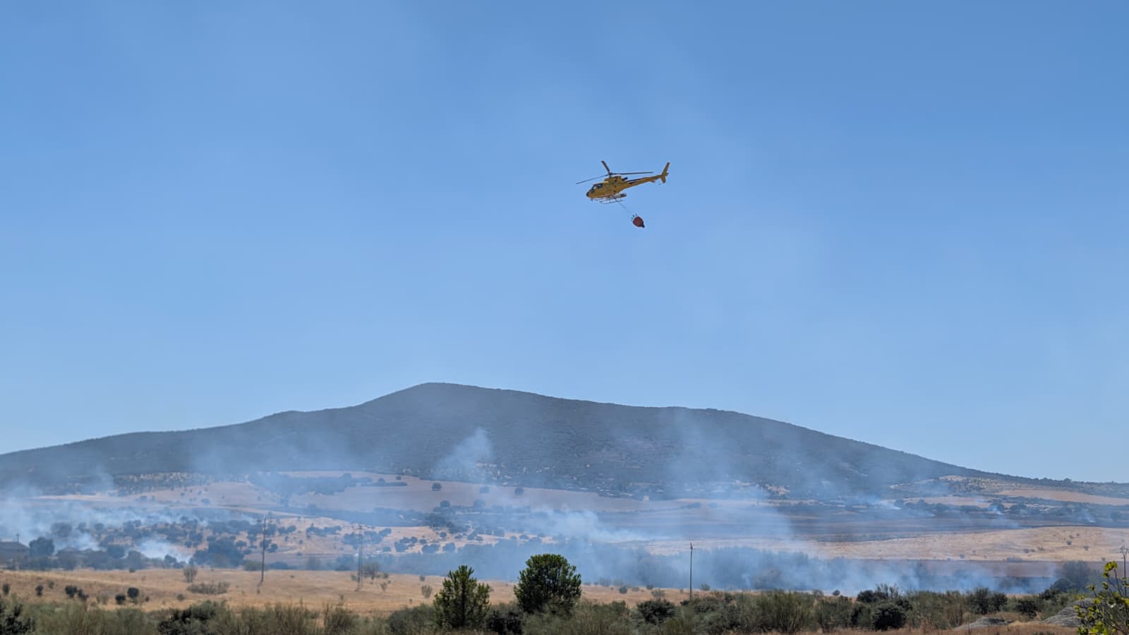 El incendio forestal de Don Benito, en imágenes